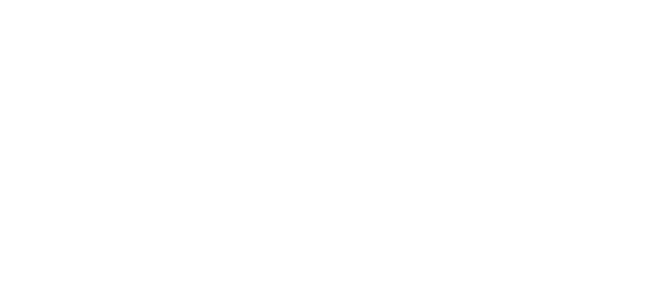 Allegiance Softwash Logo - Navigation
