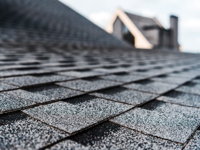 Roof Cleaning Service
