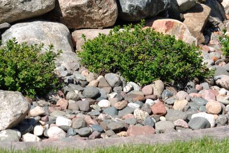 Stone Cleaning